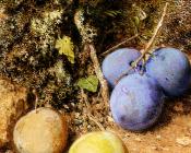 Still Life With Greengages And Plums On A Mossy Bank - 威廉·亨利·亨特